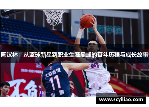陶汉林：从篮球新星到职业生涯巅峰的奋斗历程与成长故事