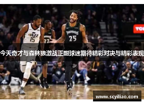 今天奇才与森林狼激战正酣球迷期待精彩对决与精彩表现