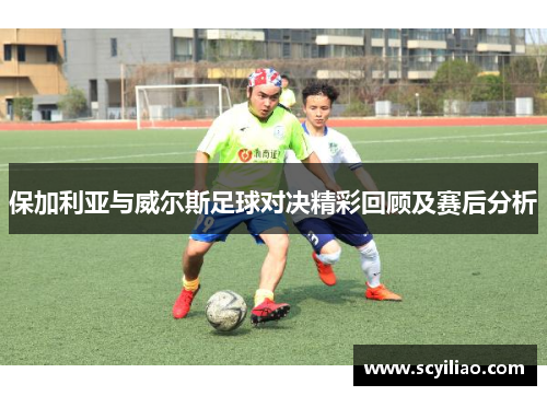 保加利亚与威尔斯足球对决精彩回顾及赛后分析