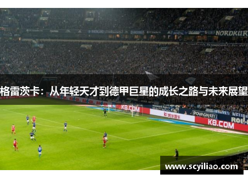 格雷茨卡：从年轻天才到德甲巨星的成长之路与未来展望